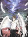 Angel Sanctuary (Emerald Edition)