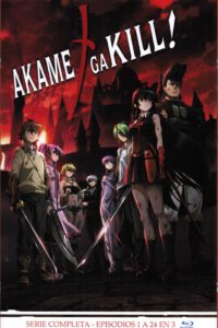 Akame Ga Kil!! Ed.Coleccionista A4