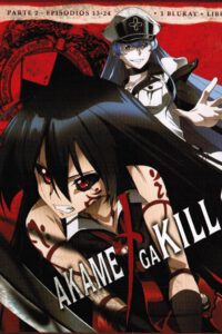 Akame Ga Kill! Parte 2 Ed.Coleccionista