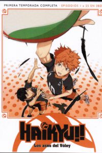 Haikyuu Temporada 1 Completa (BluRay)