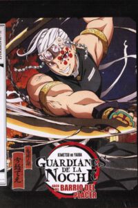 Guardianes de la noche T2 P2 Arco del Barrio del Placer (BluRay)