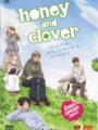 Honey & Clover Temporada 1 (DVD)