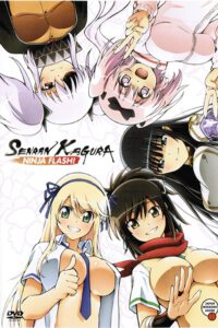 Senran Kagura Ninja Flash. Serie Completa (DVD)
