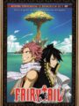 Fairy Tail Vol.9 (DVD)