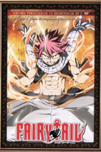 Fairy Tail Vol.10 (DVD)