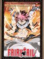 Fairy Tail Vol.10 (DVD)