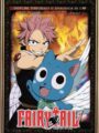 Fairy Tail Vol.11 (DVD)