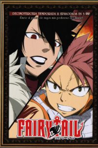 Fairy Tail Vol.13 (DVD)