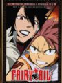Fairy Tail Vol.13 (DVD)