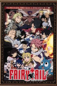 Fairy Tail Vol.14 (DVD)
