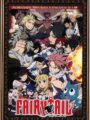Fairy Tail Vol.14 (DVD)