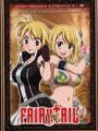Fairy Tail Vol.8 (DVD)