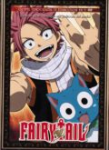 Fairy Tail Vol.5 (DVD)