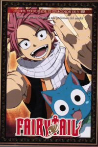 Fairy Tail Vol.5 (DVD)
