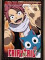 Fairy Tail Vol.5 (DVD)