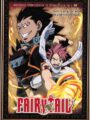 Fairy Tail Vol.2 (DVD)