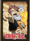 Fairy Tail Vol.4 (DVD)