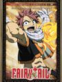 Fairy Tail Vol.4 (DVD)