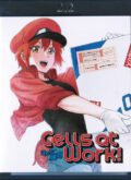 Cells At Work Vol.1 (BluRay)